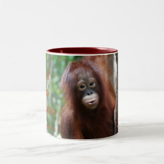 Mok Krista Orangutan Fan Club