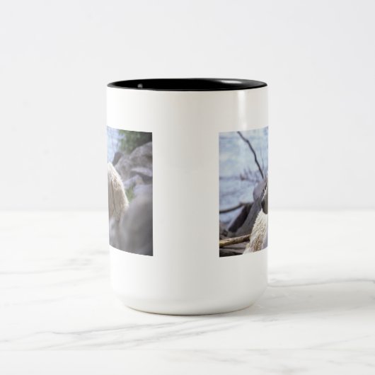 mok "Kuvasz" (Center)