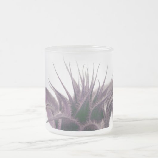 Mok kweekzondbloem, gevriesdroogd glas (Center)