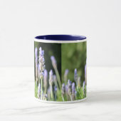 Mok lavender (Midden)
