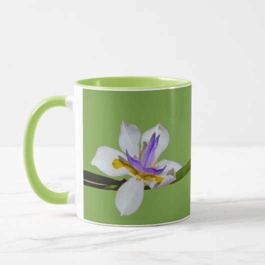 Mok - Lily pair (Links)