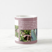 MOK MAANDBUTTERFLES (Center)