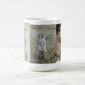 Mok Machu Pichu (Center)