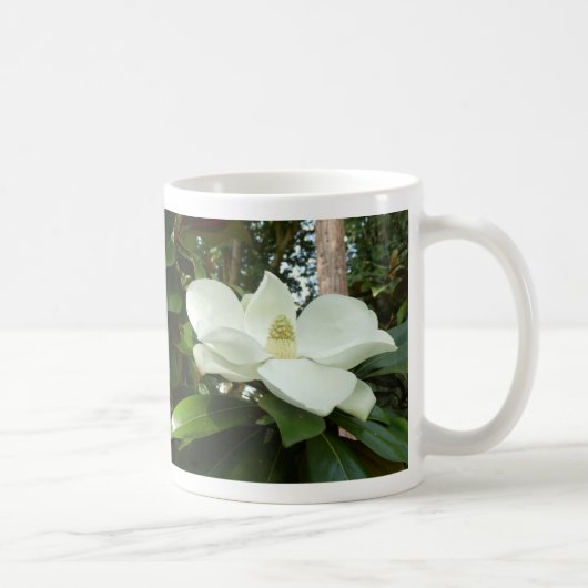Mok Magnolia Grandiflora (Rechts)