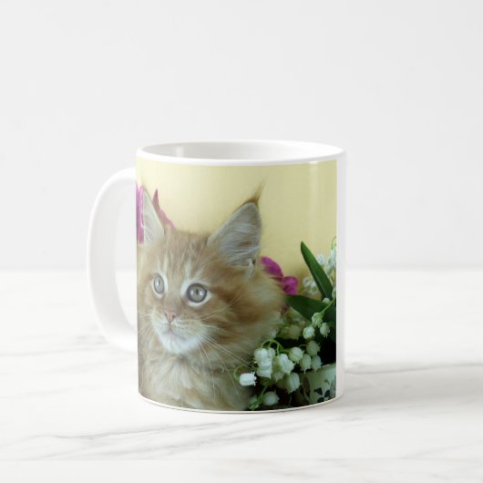 Mok Maine Coon kitten (Voorkant links)