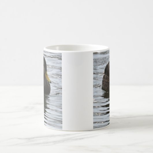 Mok Mallard Duck (Center)