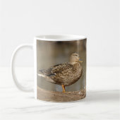 Mok MALLARD DUCKS (Links)