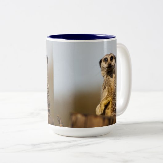 Mok Meerkat (Voorkant rechts)