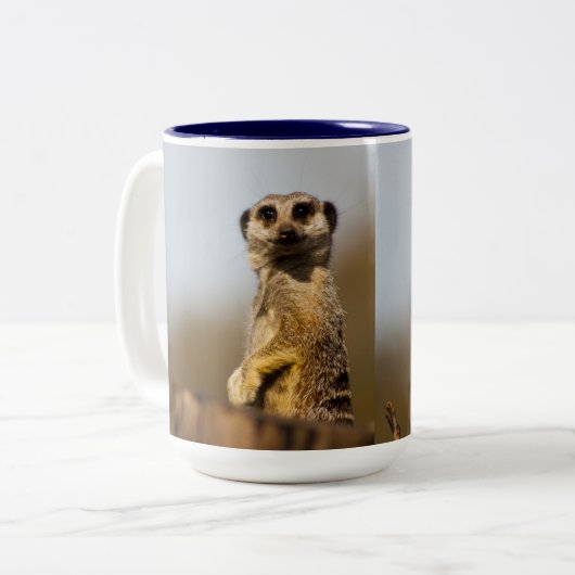 Mok Meerkat (Voorkant links)