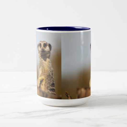 Mok Meerkat (Center)