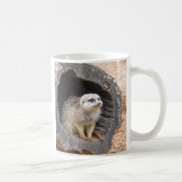 Mok Meerkat