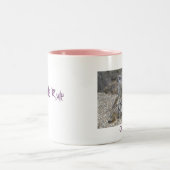 Mok Meerkats Rule (Center)