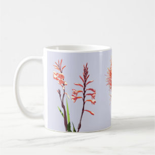 Mok met bloemen van Kaapstad