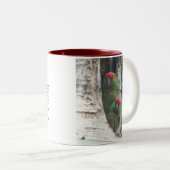 Mok met dikke kieuwen (Voorkant rechts)