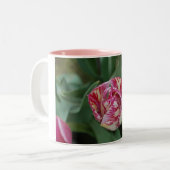 Mok met een tulp (Voorkant links)