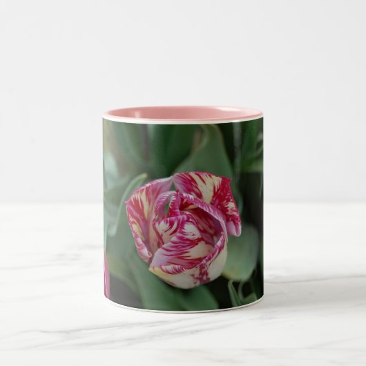 Mok met een tulp (Center)