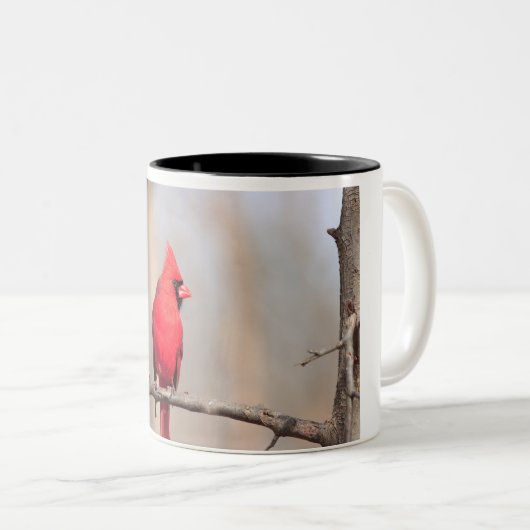 Mok met foto van een mannelijke noordelijke kardin (Voorkant rechts)