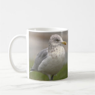 Mok met foto van meeuw