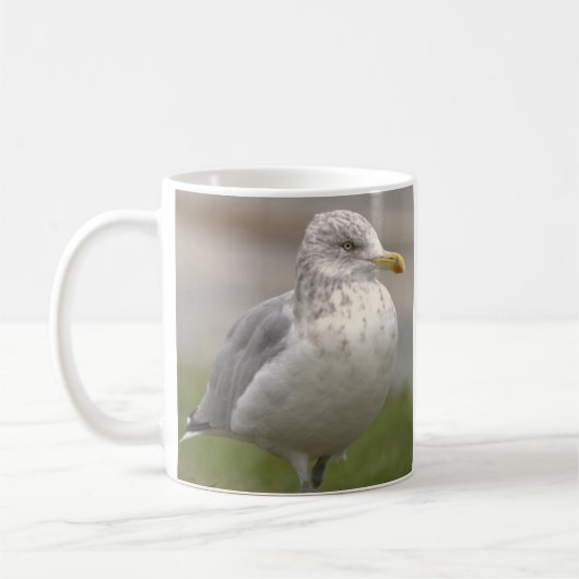 Mok met foto van meeuw (Links)