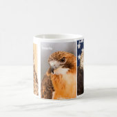 Mok met Hoo Haven Raptors (Center)