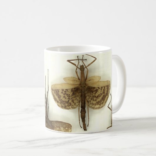 Mok met insecten van de stekker (Voorkant rechts)