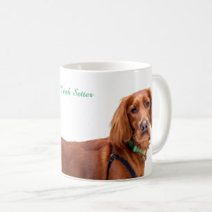 Mok met Irish Setter