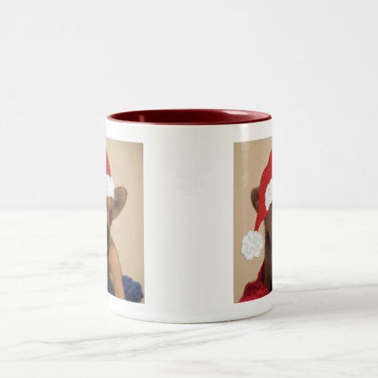 Mok met Kerstmis in Chihuahua (Center)