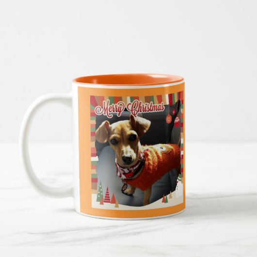 Mok met Merry KerstChiweenie (Links)