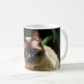 Mok met mooie kat (Voorkant rechts)