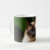 Mok met mooie kat (Voorkant links)