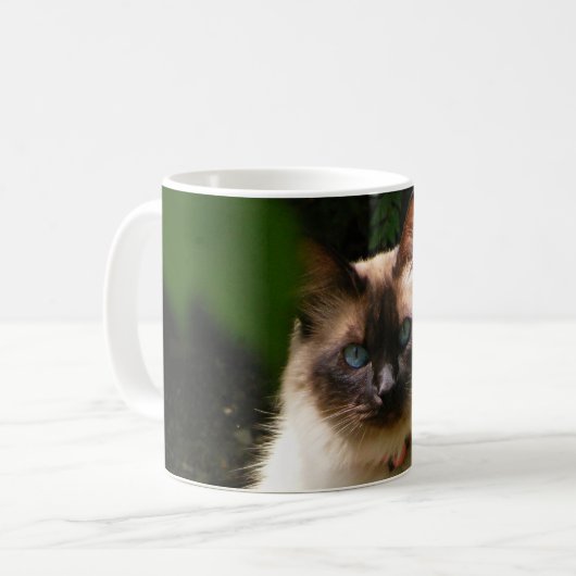 Mok met mooie kat (Voorkant links)