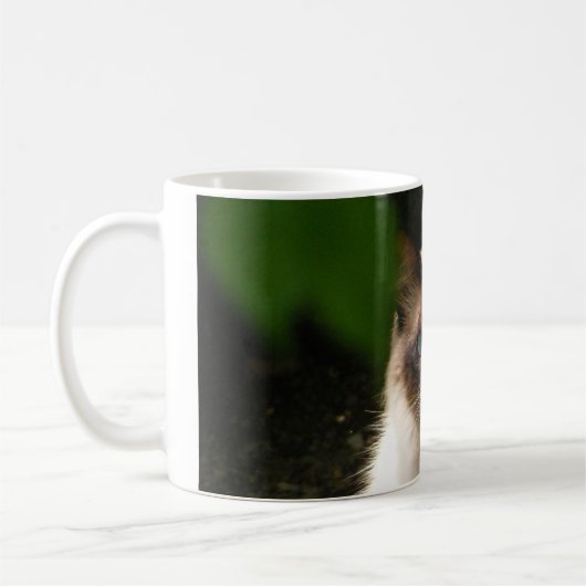 Mok met mooie kat (Links)