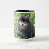 mok met originele foto van een Pomeranian (Midden)