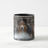 mok met originele Sheltie foto (Midden)