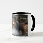 mok met originele Sheltie foto (Voorkant rechts)