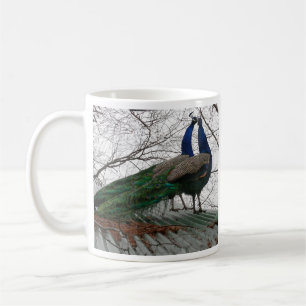 Mok met Peacock illustratie