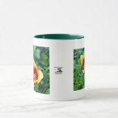 Mok met plendiflorische wit - gele/rode tulp (Midden)