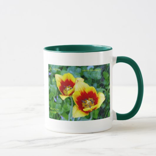 Mok met plendiflorische wit - gele/rode tulp (Rechts)