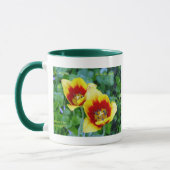 Mok met plendiflorische wit - gele/rode tulp (Links)