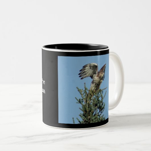 Mok met rode staartHawk (Voorkant rechts)