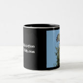 Mok met rode staartHawk (Center)