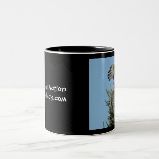 Mok met rode staartHawk (Center)