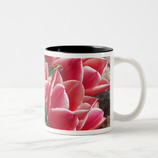 Mok met roze tulpen