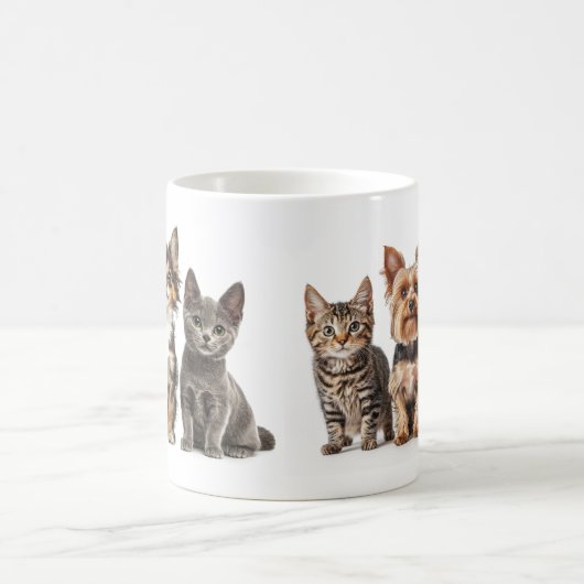 Mok met Schattigee Kittens en puppy's (Center)