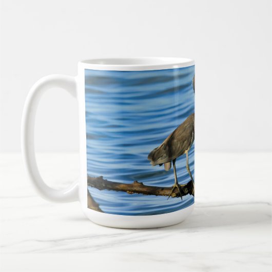 Mok met Tri Colored Heron Branch (Links)