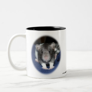 Mok met twee ratten