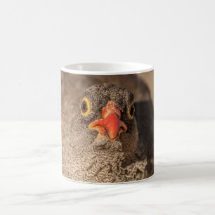 Mok met vogelportret