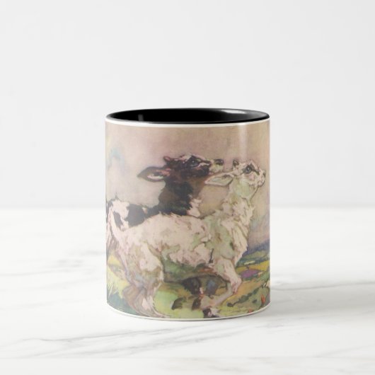 Mok mooie Baby geiten (Center)