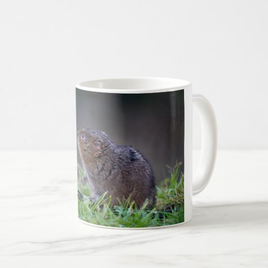 Mok mooie waterlopen (Voorkant rechts)