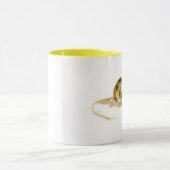 Mok Muis Ringer (Midden)